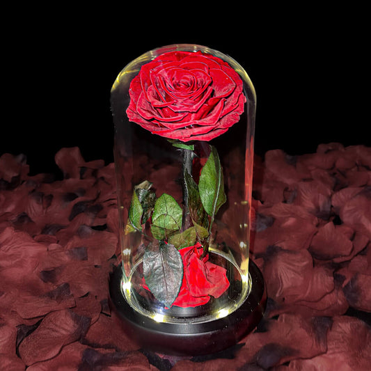 Enchanted Infinity Rose™ - Real Preserved Rose In Glass Dome With LED Lights